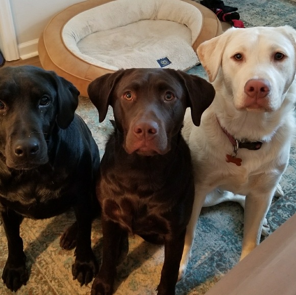 Meet your Posher, Julie - Picture 2 of 2